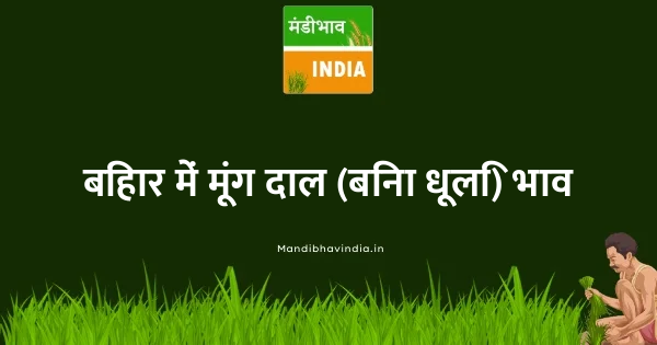 Green Gram Dal (Moong Dal) भाव